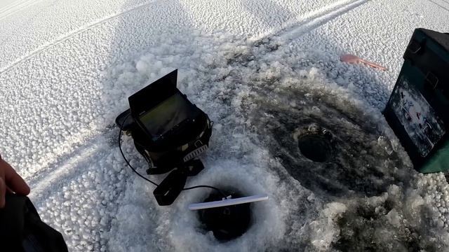 ОКУНËВЫЙ БЕСПРЕДЕЛ!! ОПУСТИЛ БЛЕСНУ и ОНИ ТУТ ЖЕ СОБРАЛИСЬ! ЛОВЛЯ ОКУНЯ НА БЛЕСНУ. ПОДВОДНЫЕ СЪЕМКИ. смотреть онлайн