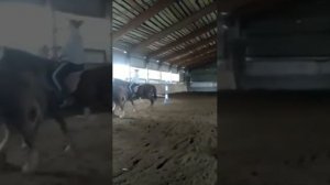 Галоп на лошади