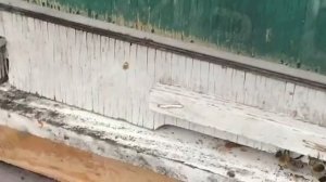 ВОТ ТАКАЯ ЗИМОВКА ПЧЕЛ!!! Западная Беларусь