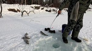 Слабонервным не Смотреть-Горная Рыбалка в Тайге День 3-4 Дорога домой