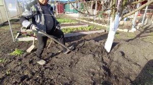 Выхожу из *комы* 😉Солнце🌞 Теплица🌿 Курочки🐤 Уборка 💪Жизнь в доме на кубани🏠