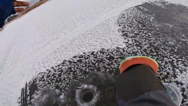 ПЕРВЫЙ ЛЁД 2021-22 Только ОПУСТИЛ - КЛЮЁТ! ЖЕРЛИЦЫ! БЛЕСНА! МОРМЫШКА! Клев был отличный а размер ... смотреть онлайн