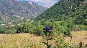 Кавказская природа Село верхний Тагирджал/#nature #relax #beautiful смотрите доканца 👀👍