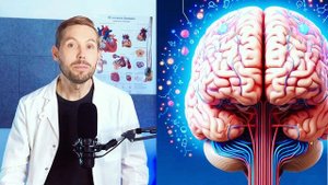 Где защита для вашего мозга? Ретикулярная формация