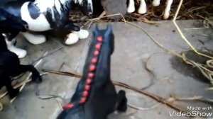 Лошади Schleich. Сериал " Дикие свободные" 3 серия (3 часть )