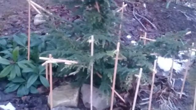 22 декабря 2017 г. смотреть онлайн