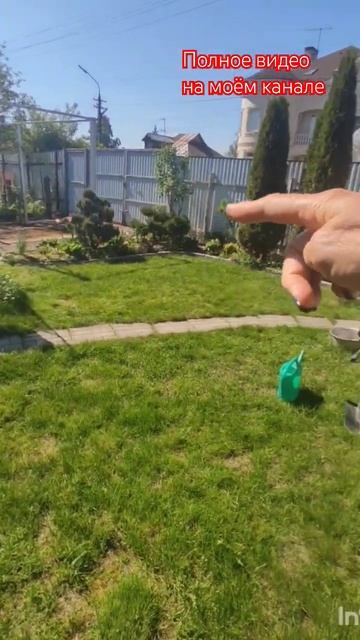 Капельный полив - облегчение ручного труда .