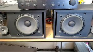 Yamaha RX V490 With Bose 301