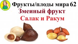 Фрукты - плоды мира 62 – Змеиный фрукт Сакак и Ракум Сыроедение Фрукторианство