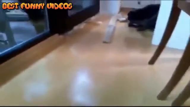 НЕ ДЕТСКИЕ ПРИКОЛЫ (18+) 2016 Подборка Приколов