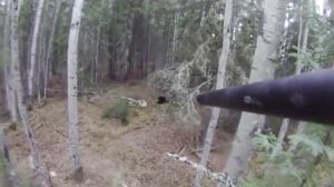 Видео охота на медведя   Bear hunting