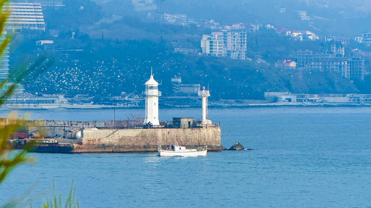 ЯЛТА. Что с мазутом? Спасение птиц. Море и пляжи в Ялте. Раздельный мусор. Волонтеры. Крым 2025