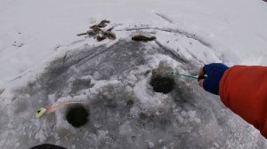 Ротан со льда. Ловя ротана на блесну и на мормышку. Зимняя рыбалка на ротана по первому льду.