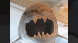 Dunkleosteus Documentary