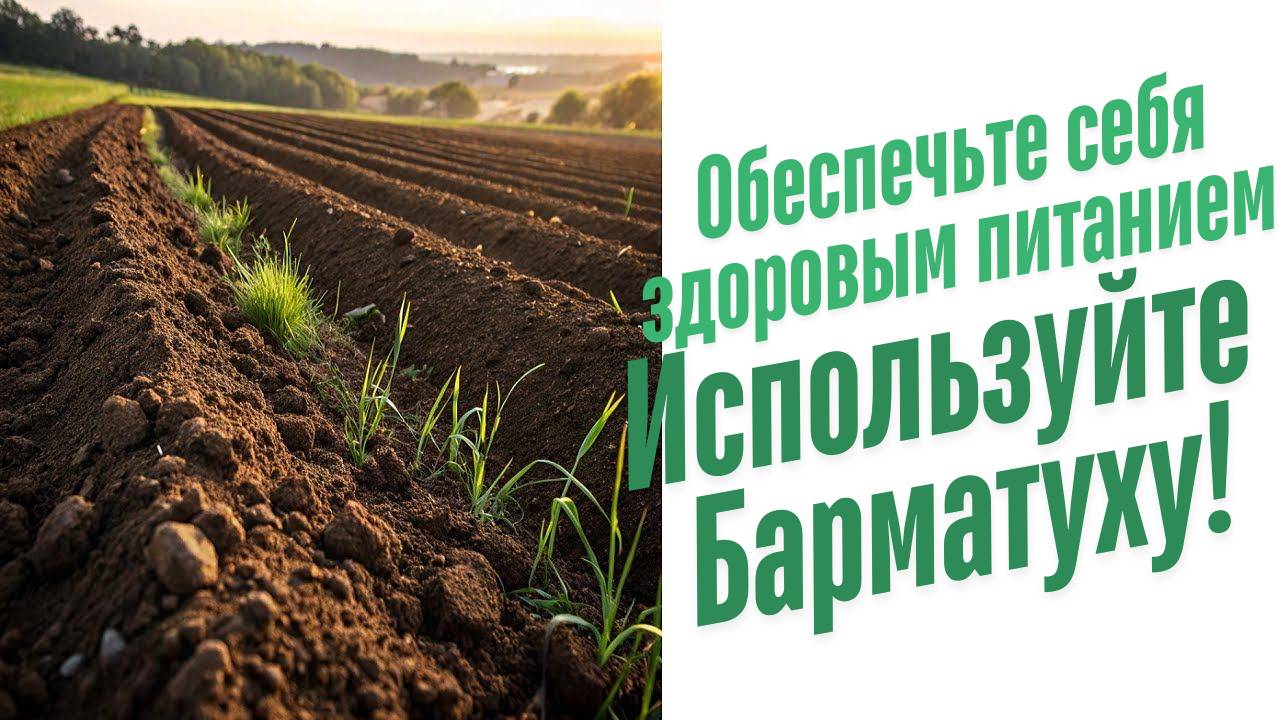 Удобрения для почвы весной.