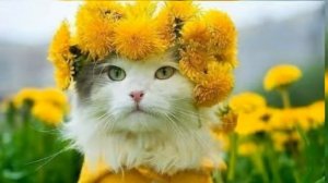 Нужно жить на позитиве .