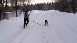 Поездка в Лесной приют 25 01 2015