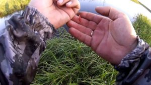 Скоротечная рыбалка на микроречке.