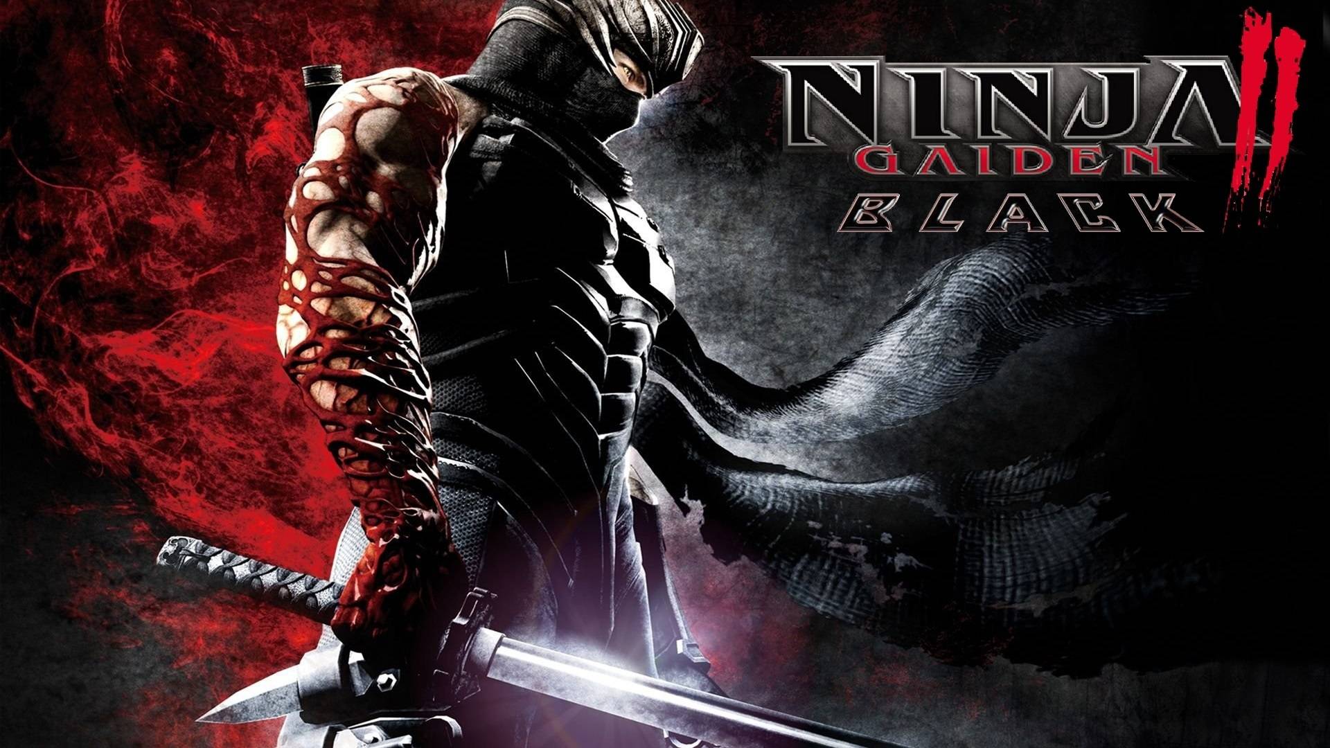 NINJA GAIDEN 2 Black #1