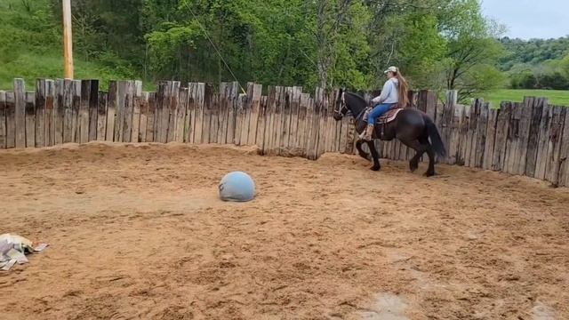 Pippa смотреть онлайн