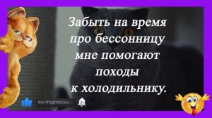 Черная кошка перешла дорогу женщине с пустым ведром...