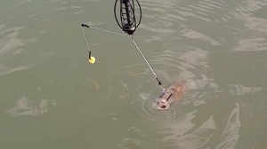 #Баканас #нарыбалке #наудочку Карась на крючке!!!