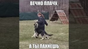 ВЕО