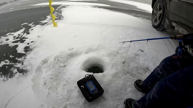 ПОИСКИ СУДАКА с эхолотом ПРАКТИК 8. Ловля СУДАКА НА РАТТЛИН. Зимняя рыбалка на водохранилище. смотреть онлайн