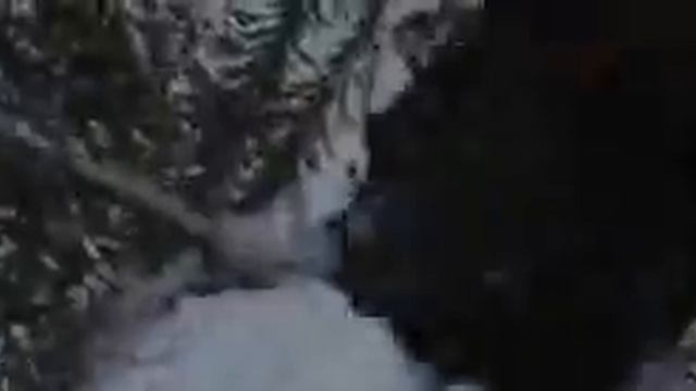 Сумерки битва 2