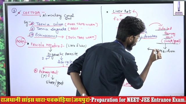 Animal Diversity | Lecture 16 | Hemant Sir | Biology | Rajdhani Online Classes | NEET/ICAR/JET/BHU