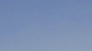 Армянские голуби