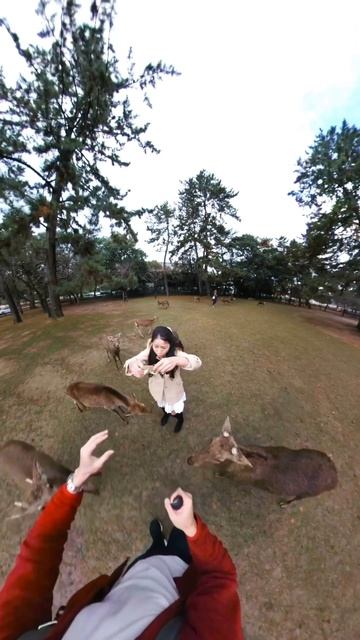 Nara 🇯🇵🦌 #justinlmk #gopro #japan #narajapan #travel #Travelgram #traveling