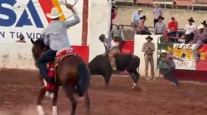 rancho los explosivos vs la Ribereña del coyote de ajijic