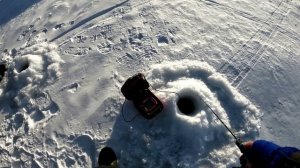 ВДАРИЛ так ВДАРИЛ! ЛОВЛЯ СУДАКА в ГЛУХОЗИМЬЕ! РЫБАЛКА в феврале. ЛОВЛЯ СУДАКА на ВАГНЕР ВИБ зимой.