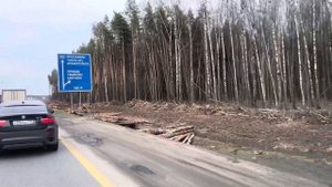 Ярославское шоссе. М 8. Реконструкция 35-47км (5 ч.)