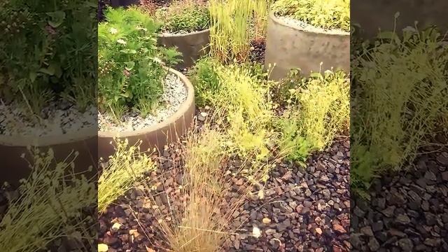 Сад Контрфорс Игорь Сафиуллин - полная версия. Спасибо за музыку Мария-Генриэтта Паникян смотреть онлайн