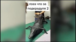 ЧИНАЗЕС Чина Саунтрес - Что Это Такое? Значение