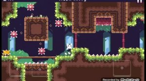 Cat bird ВОССТАЛ!!!