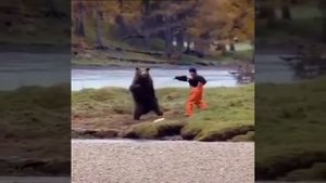 Медведь против человека