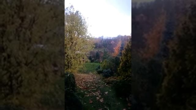 Перемены в Саду Дракона. смотреть онлайн