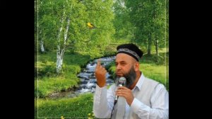 Қиссаи Ҳазрати Хизр ва Ҳазрати  Мусо