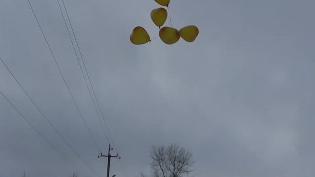 саша настя свадебный клип смотреть онлайн