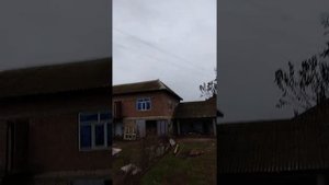 Высоко летающий голубь