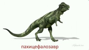 Карточки Домана доисторический мир