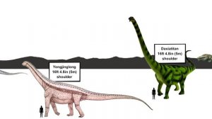 Dinosaur Size Comparison | Titanosaurs