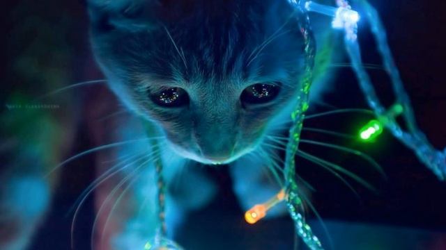 Cassius- I Love You So (Tambour Battant Remix) смотреть онлайн