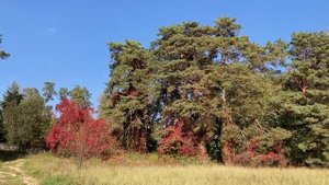Жара в сентябре - 2: поездка в Серпухов, Тарусу и Поленово