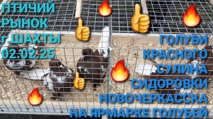 🔥🔥🔥 Голуби Новочеркасска, Красного Сулина, Сидоровки на ярмарке в г.Шахты. Птичий рынок 02.02.25.