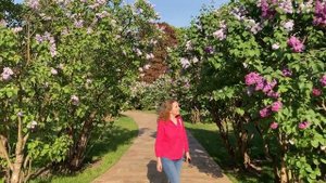 Хмельная сирень