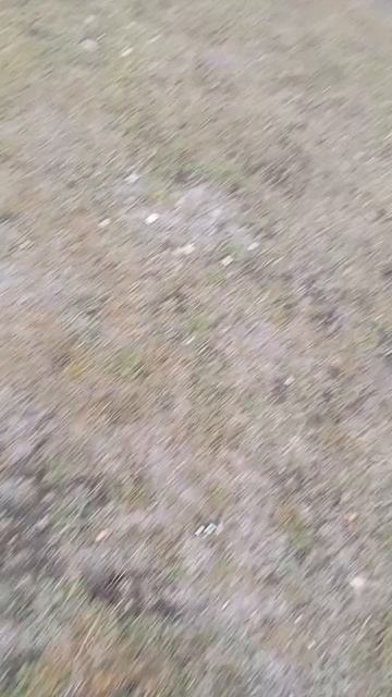 наша зима смотреть онлайн